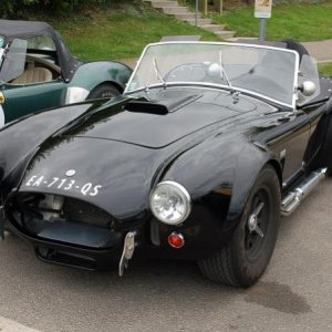 Cobra black1