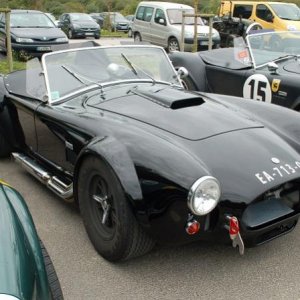 Cobra black2