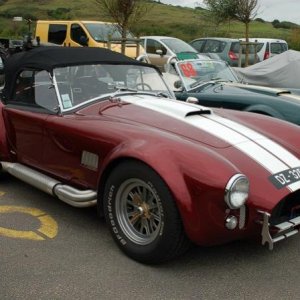 Cobra red1