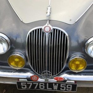 Jaguar1