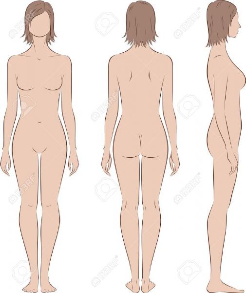 20075025 illustration of women s figure front back side views silhouettes