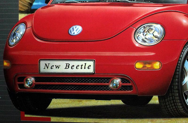 beetle 012