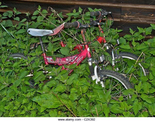 bikes bicycles lost in overgrown garden c2x392