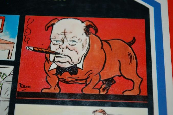 Bulldog1