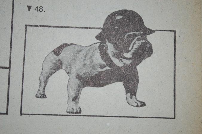 Bulldog2