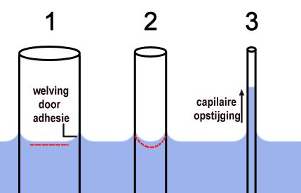 Capillaire opstijging