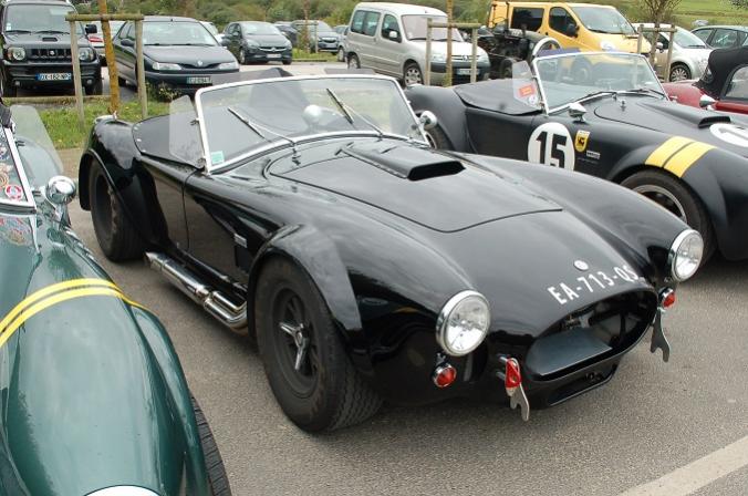 Cobra black2