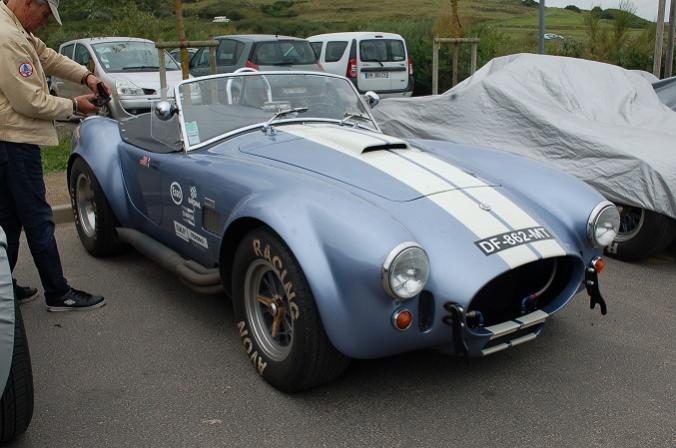 Cobra lightblue1