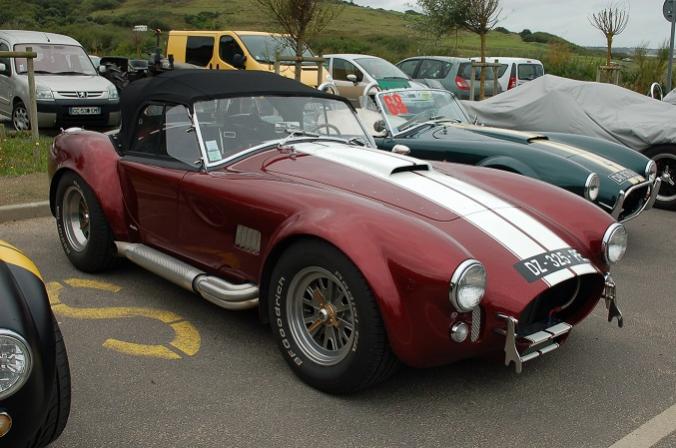 Cobra red1