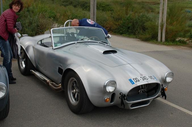 Cobra silver1