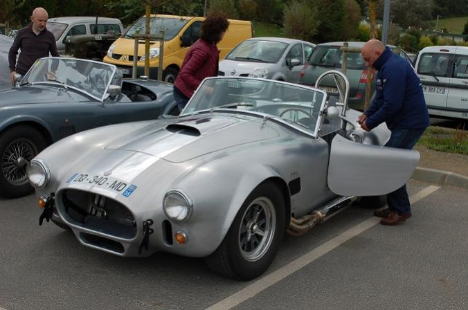 Cobra silver2