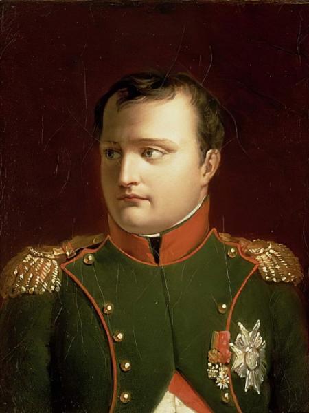 Jacques Louis David   Napoleon Bonaparte (1769 1821) (oil)   (MeisterDrucke 270589)