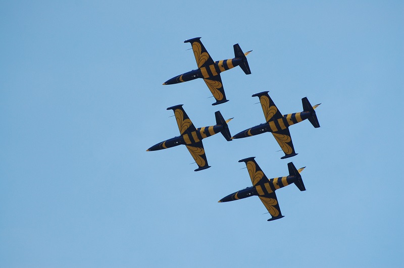 L 39  Baltic Bees In Flight 2