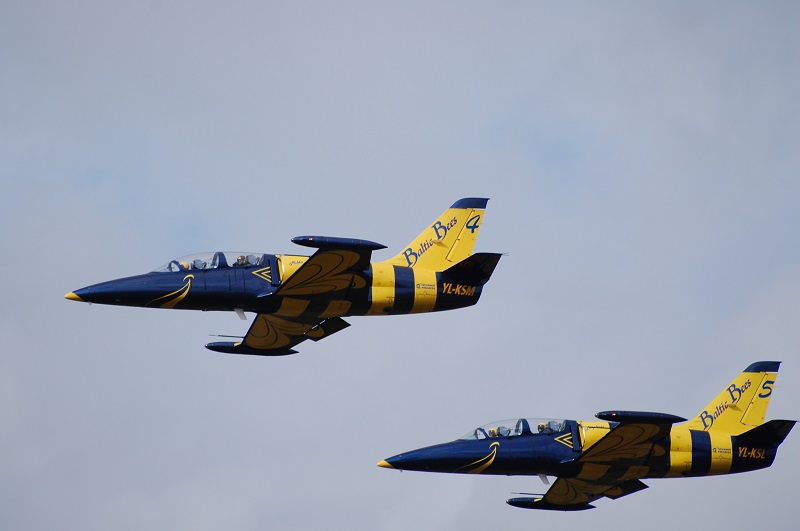 L 39  Baltic Bees In Flight