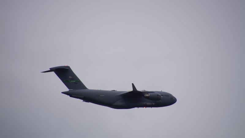 Odd C 17