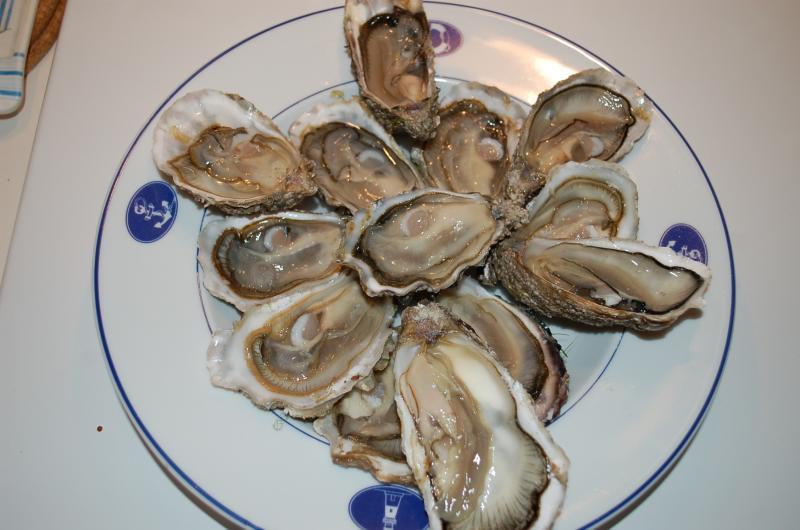 Oesters