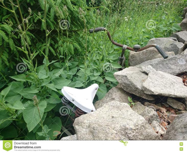 overgrown bicycle nature taking over 74975978