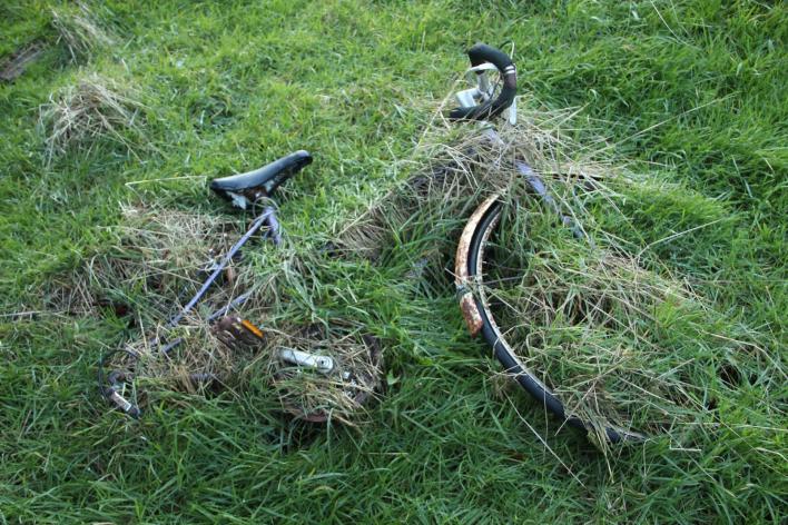 Overgrown Bike pure photography