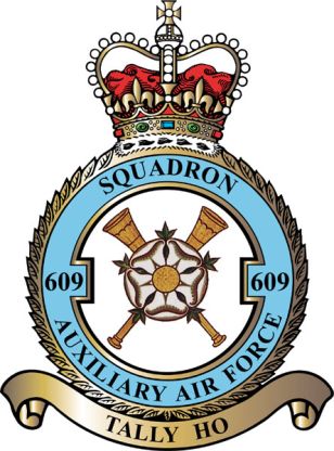 RAF 609Sqn Emblem