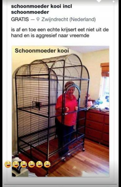 schoonmoeder