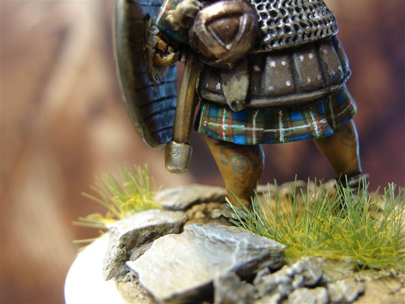 Scottish Warlord (1) Klein