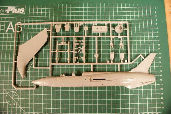 Sprue 1