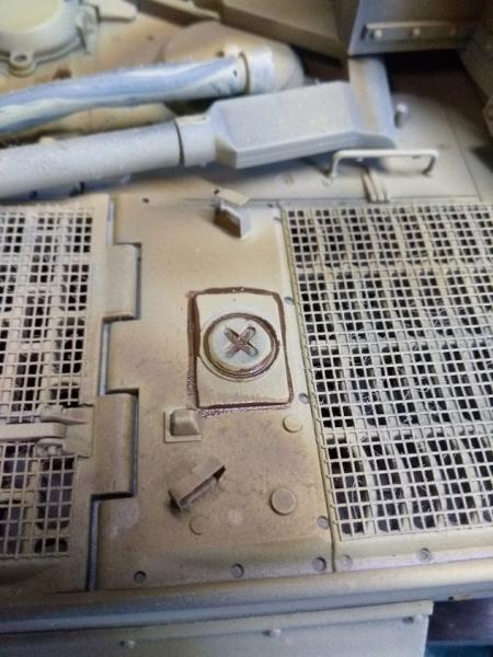 tiger 1 washes1