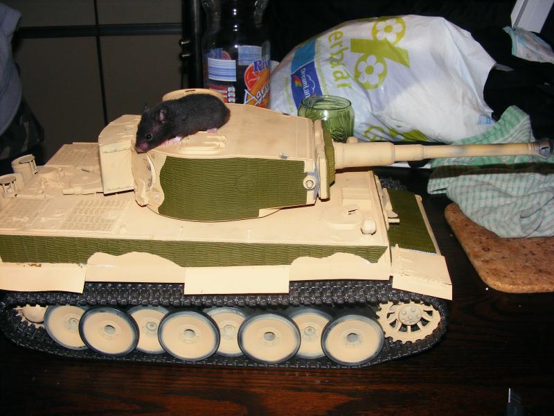 TIGER I (66)